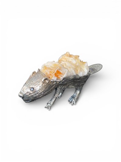 Castor de prata